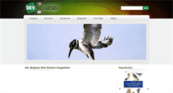 Desktop Screenshot of devbelgesel.com